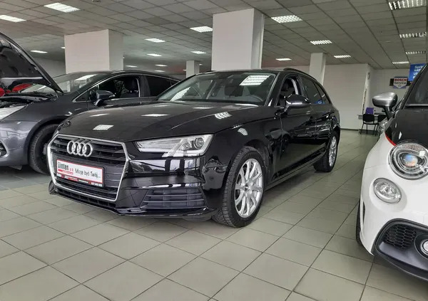 zgorzelec Audi A4 cena 89900 przebieg: 101130, rok produkcji 2016 z Zgorzelec